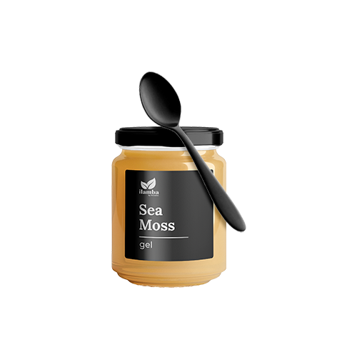 Sea Moss Gel 16oz