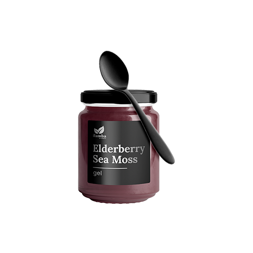 Elderberry Sea Moss Gel 16oz